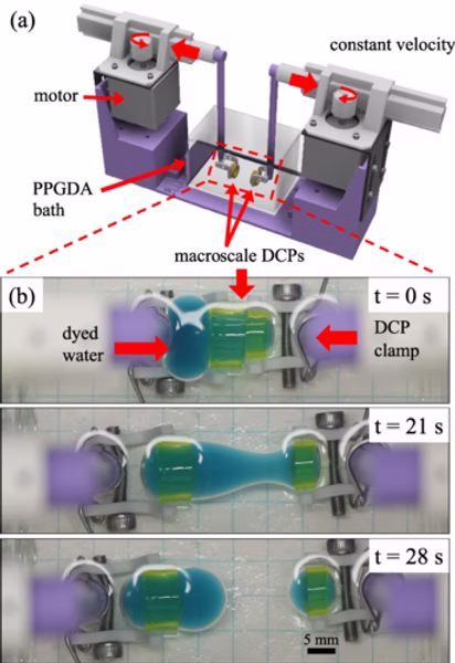 PhysRev E 2021 Figure 3.png